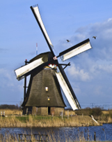 Dutch Windmill